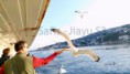 /album/fenykepgaleria/safis-jiayu-s3-teszt-siraly-1-jpg/